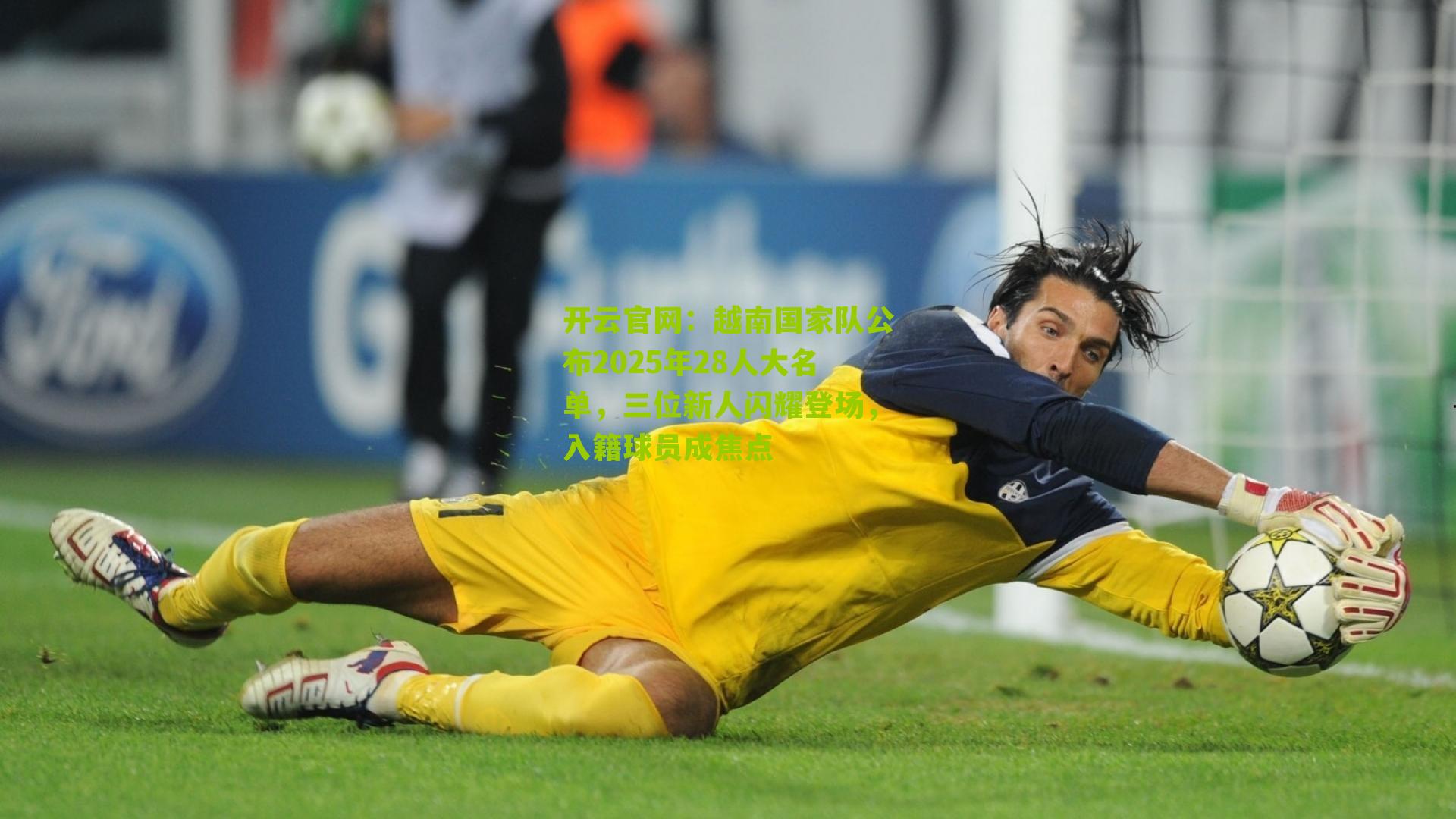 开云官网：越南国家队公布2025年28人大名单，三位新人闪耀登场，入籍球员成焦点